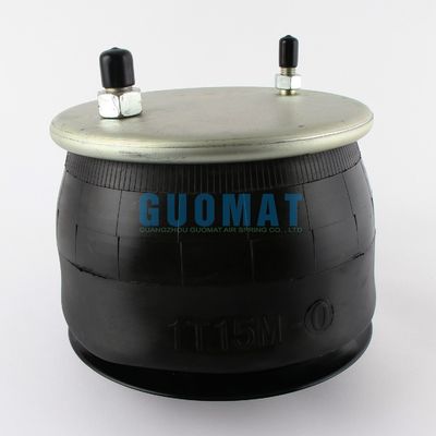 W01-358-9039 کیفیت خوب تعویض کامیون فایرستون تعویق هوا سواری بهار 1T15M-0