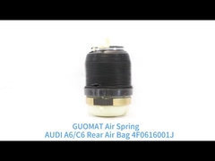 2004-2011 Audi عقب تعویق هوائی بهار A6 C6 کوله هوا 4F0616001J 4F 0616 001J